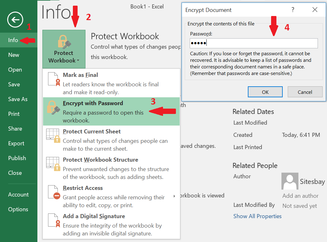 how do you put a password on an excel file